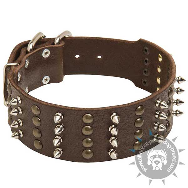 Wide Leather Pitbull Collar with Brass Half-Ball Studs and Nickel Plated Spikes