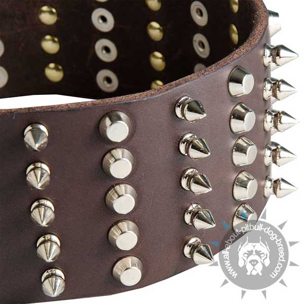 Leather Pitbull Collar Decorated with Spikes and Cones