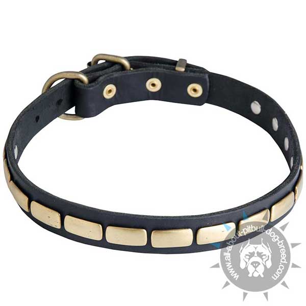 Leather Pitbull Collar Decorated with Brass Plates
