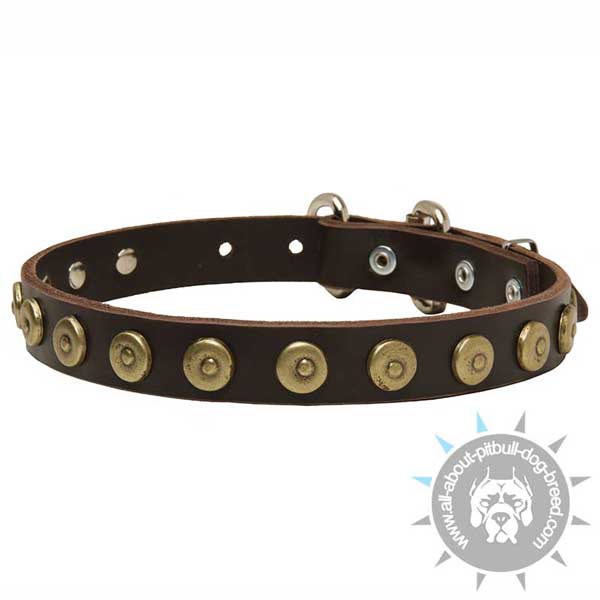 Leather Pitbull Collar Decorated with Brass Circles with Center Dots