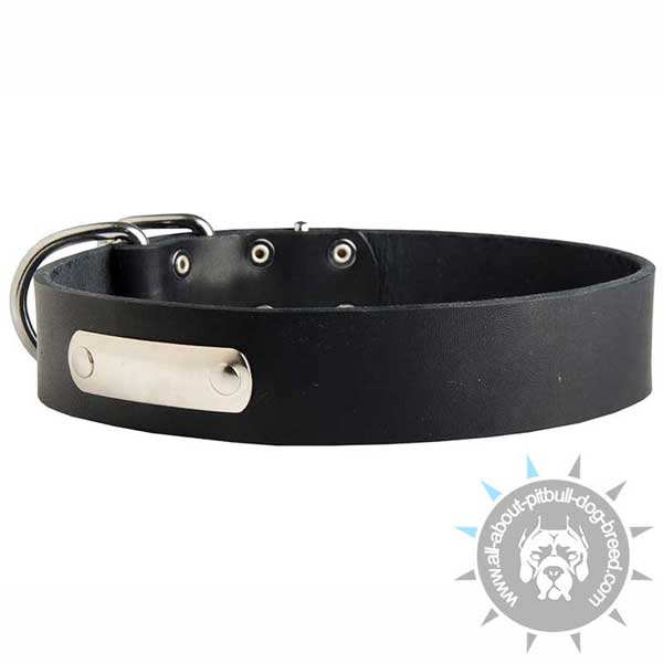 Leather Pitbull Collar with ID Tag of Nickel-plated Steel