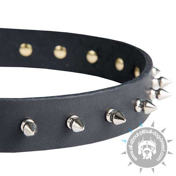 Leather Pitbull Collar Strap Decorated with Nickel Plated Spikes