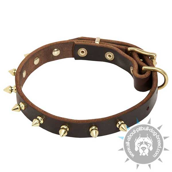 Leather Pitbull Collar with 1 Row Brass Spikes