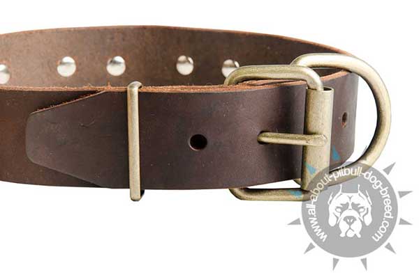 Leather Pitbull Collar Equipped with Strong Buckle and Ring