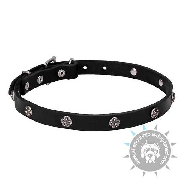 20 mm Leather Dog Collar with Chrome Plated Circular Studs