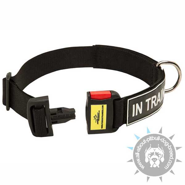 Nylon Pitbull Collar Easy Adjustable with Quick Release Buckle