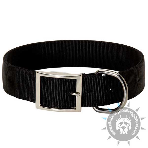 Buckled Nylon Pitbull Collar with Rust-Proof Nickel Plated Hardware