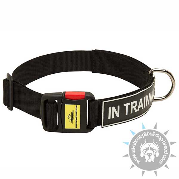 Nylon Pitbull Collar Equipped with Patches and Easy Quick Release Buckle