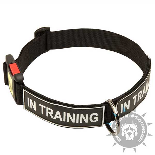 Nylon Pitbull Collar Quick Release with ID Patches