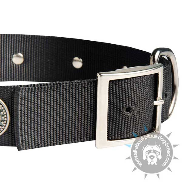 Stitched Nylon Pitbull Collar with Strong Buckle