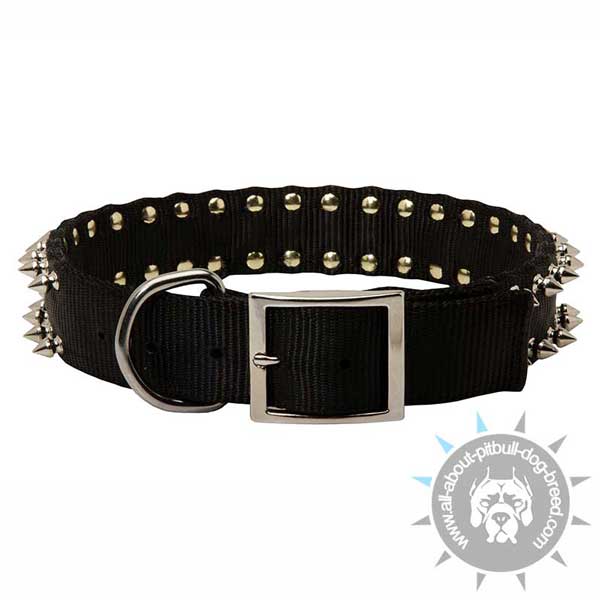 Buckled Spiked Nylon Pitbull Collar with Strong Ring