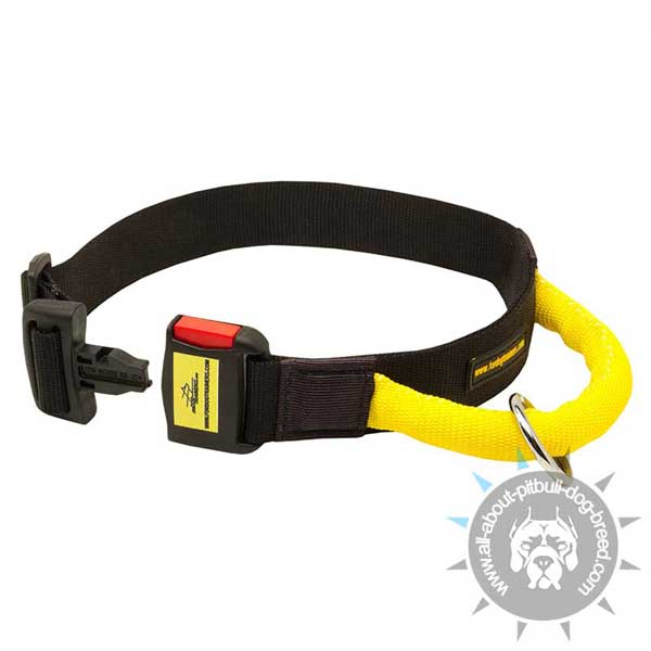 Nylon Pitbull Collar with Buckle for Easy Locking