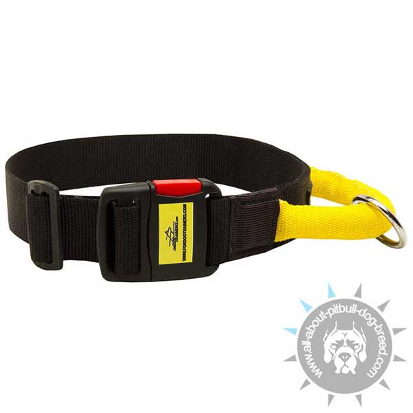 Nylon Pitbull Collar Equipped with Easy Quick Release Buckle