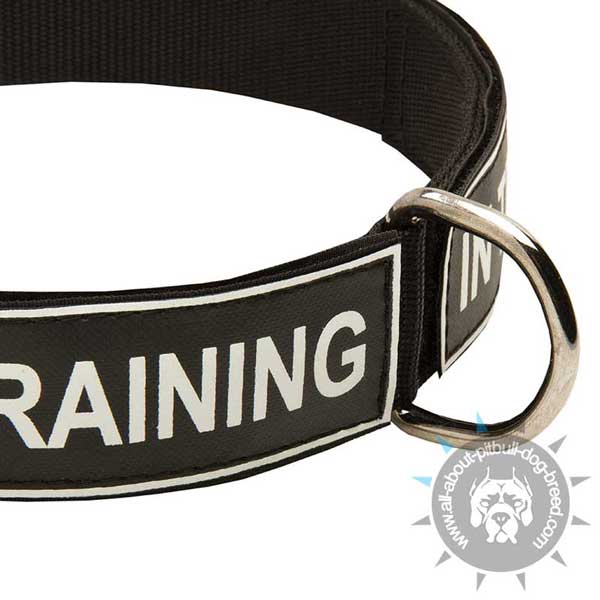 Nylon Pitbull Collar with Nickel Plated D-Ring and Patches