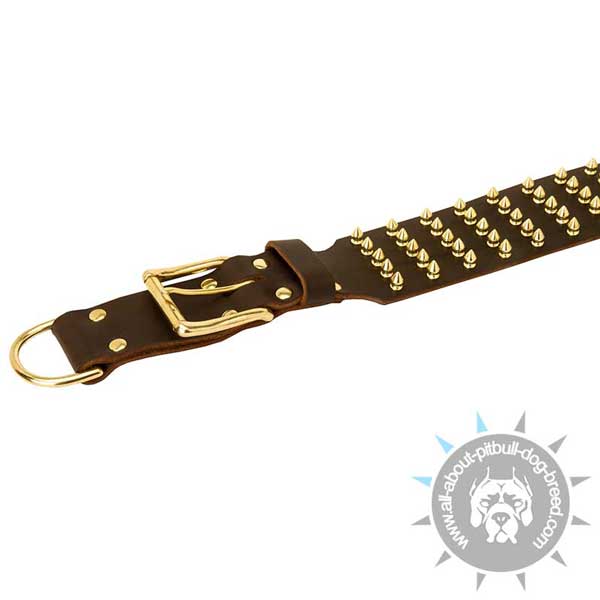 Leather Pitbull Collar with Shining Brass Spikes and Hardware