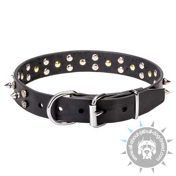 Decorated Leather Collar for Stylish Walking