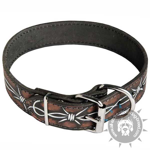 Barbed Wire Leather Pitbull Collar with Nickel Plated Fittings