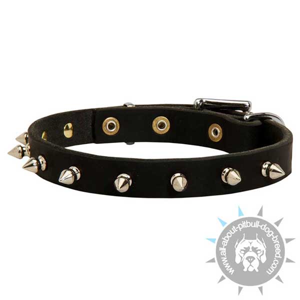 Custom made leather dog collar is constructed of best  materials