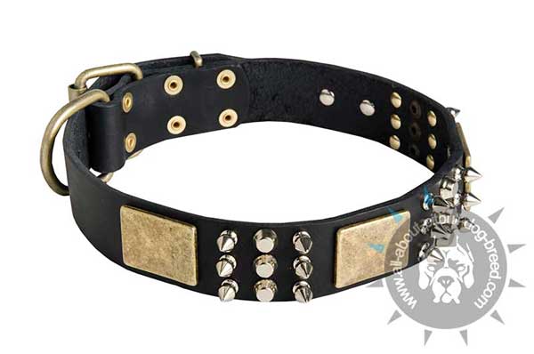 Decorated Leather Collar for Pitbull Walking