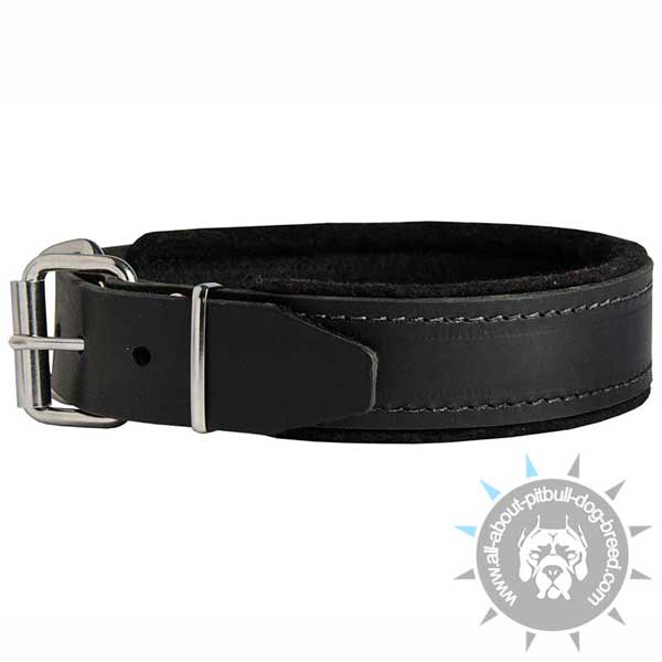 Adjustable Leather Collar with Nickel-plated Buckle