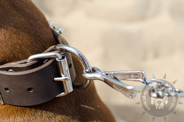 Pitbull leather collar with sturdy D-ring