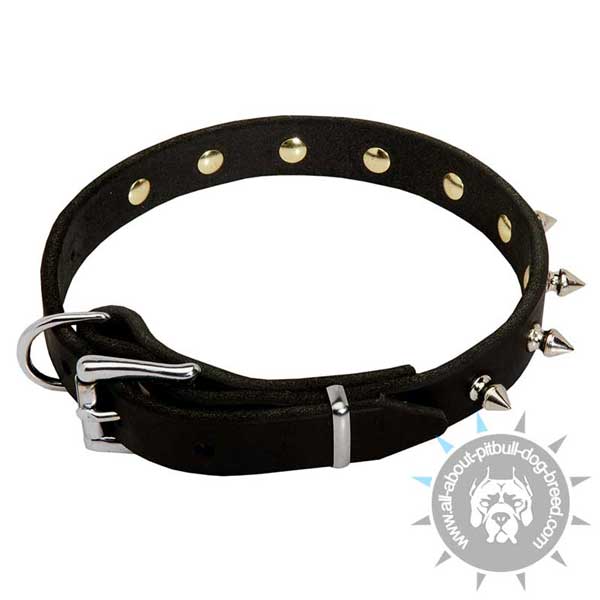 Spiked dog collar for American Pit Bull Terrier