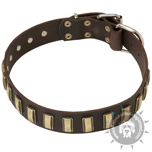 Sophisticated leather dog collar with handmade decoration