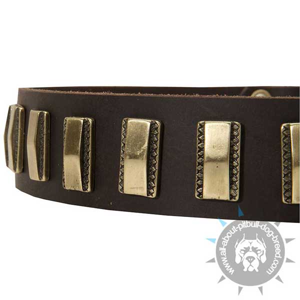 Designer Leather Dog Collar will do your Pitbull nothing but a great deal of good
