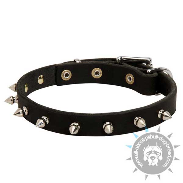 Spiked dog collar for American Pitbull