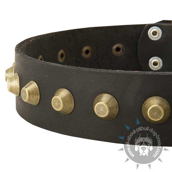 Easy walk leather dog collar