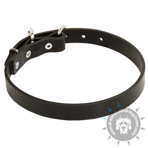 Traditional leather dog collar