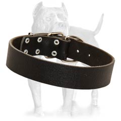 Easy walk leather dog collar