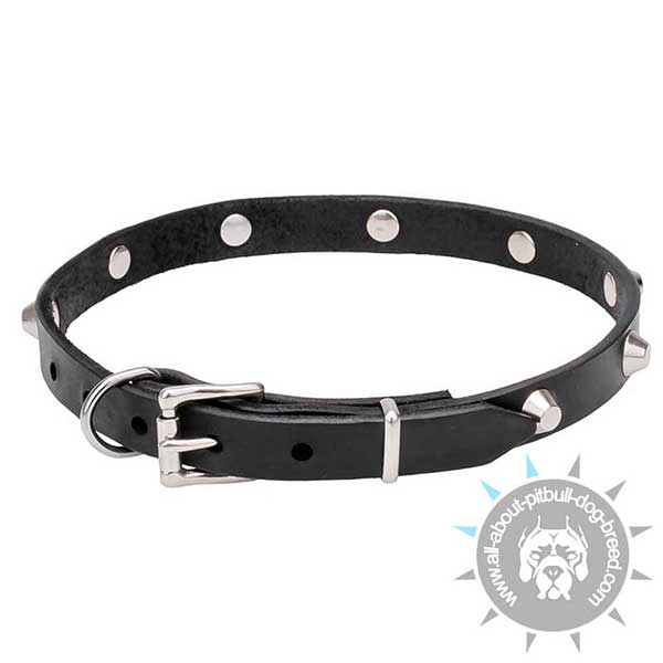 Adjustable Leather Dog Collar with Rustless Hardware