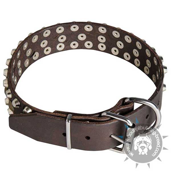 Leather Pitbull Collar with Riveted Studs and Cones