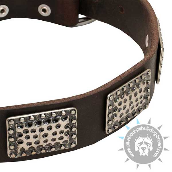 Leather Dog Collar with Nickel Decorations