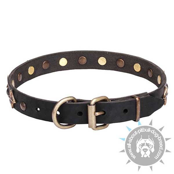 Handmade Leather Collar with Strong Hardware