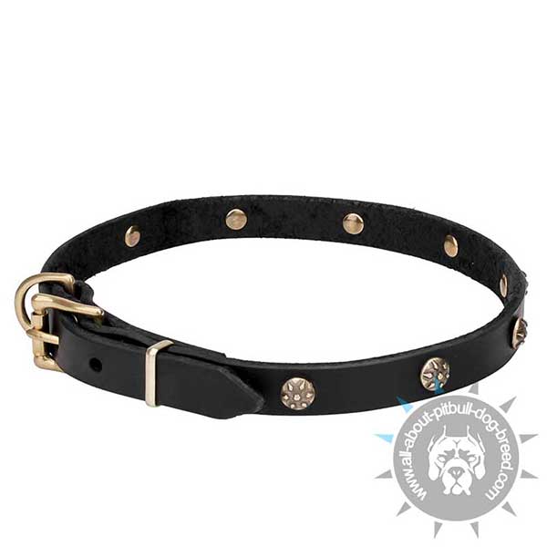 Studded Leather Dog Collar with Rust-proof Buckle and D-ring