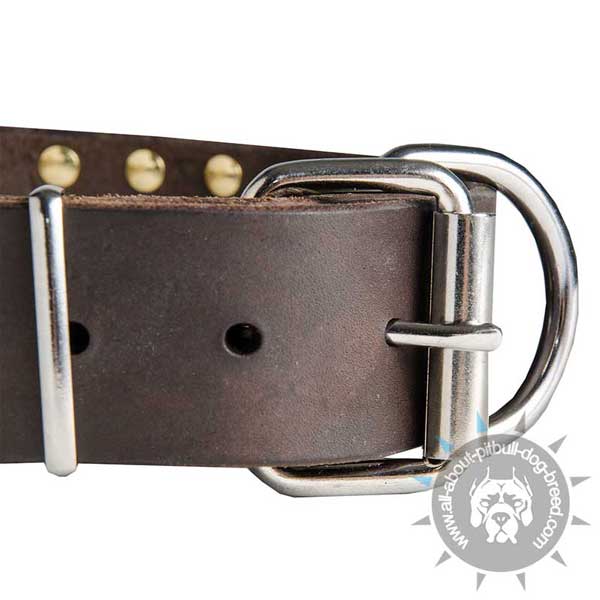 Traditional Buckle on  Pitbull Leather Collar
