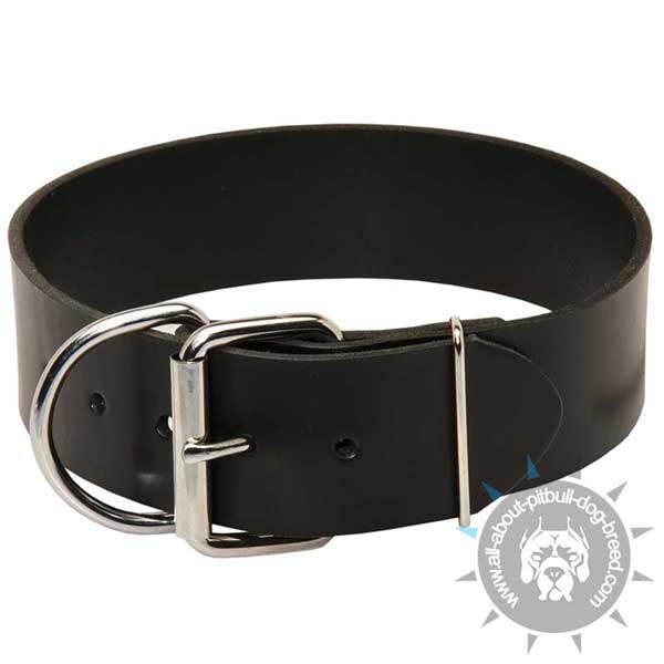 Strong and durable leather Pitbull collar with D-ring