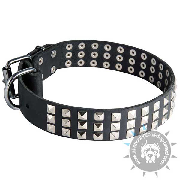 Leather black Pitbull collar with rows of pyramids