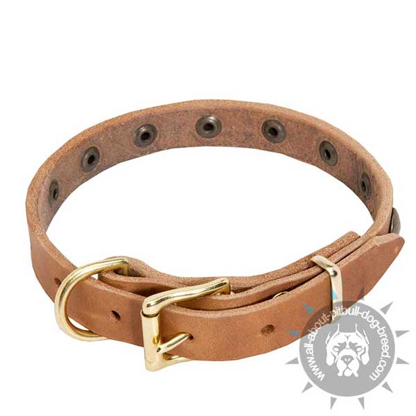 comfortable leather dog collar with adjustable buckle