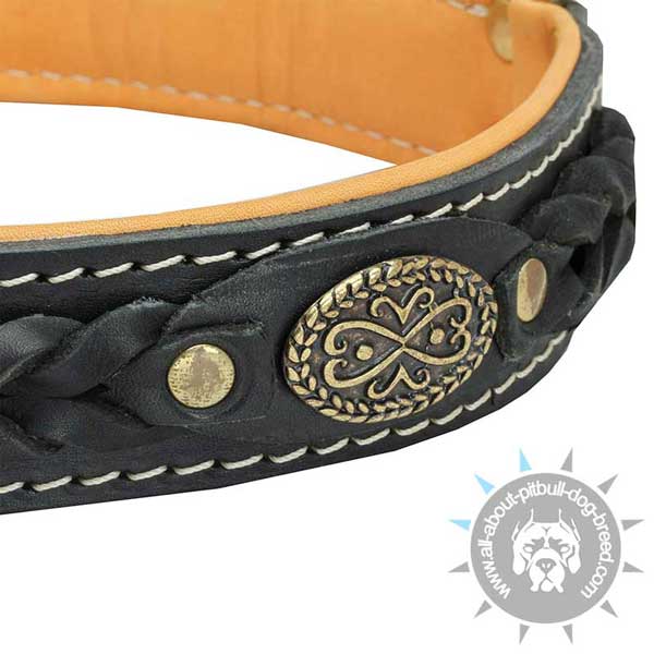 Simply beautiful Pitbull collar made of leather