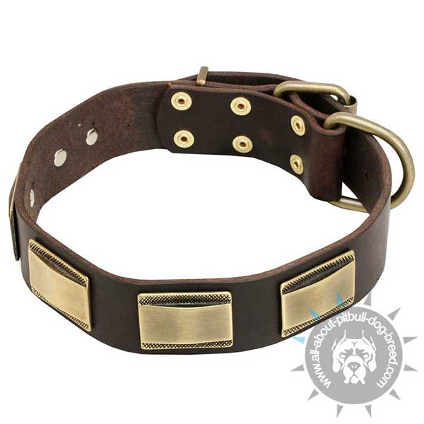 Non-stretching leather dog collar 