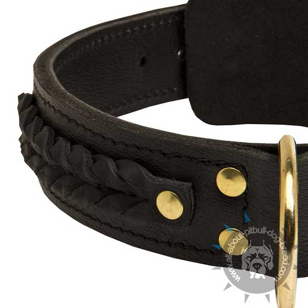Strong Leather Collar with Fur protective Plate