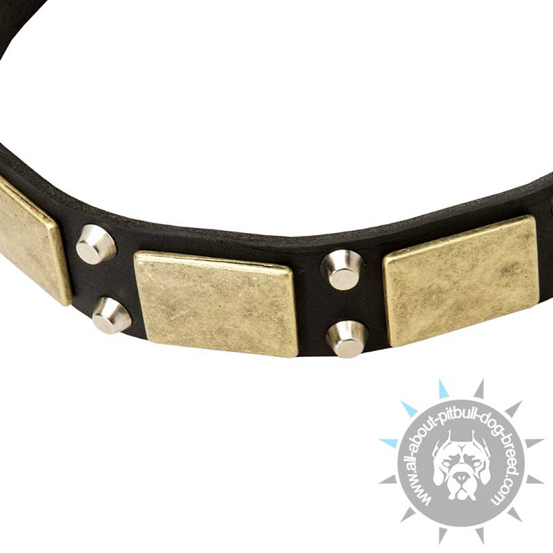 leather-dog-collar-best-dog-collar-big.jpg leather-dog-collar-best-dog-collar-big.jpg