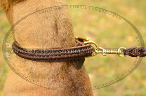 Braided Leather Dog Collar with Strong Fittings