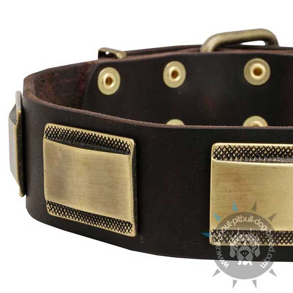 Handcrafted leather dog collar for walking and training