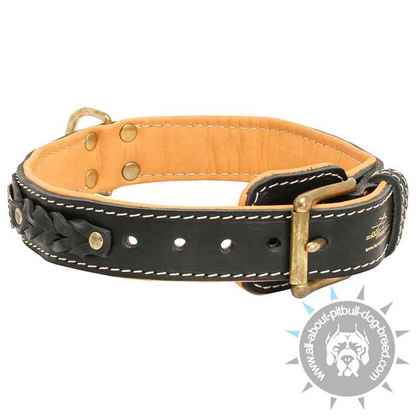 New dog collar leather with brass fittings
