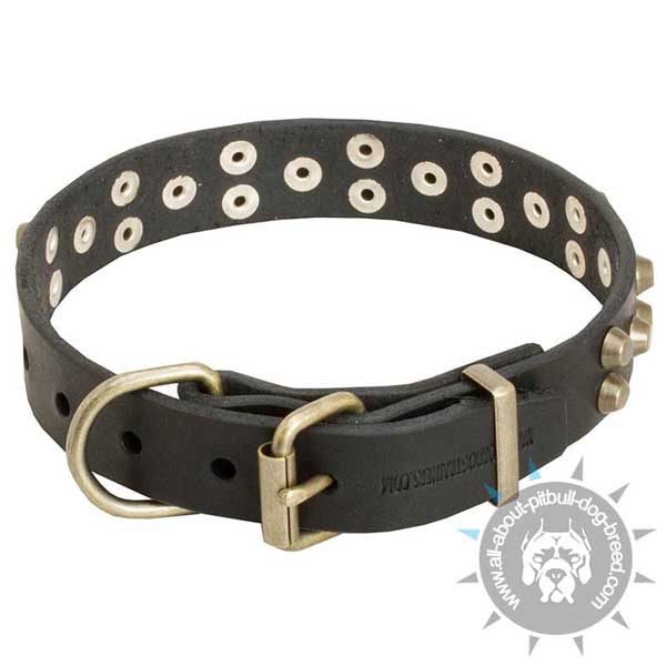 Handmade leather dog collar with reliable fittings