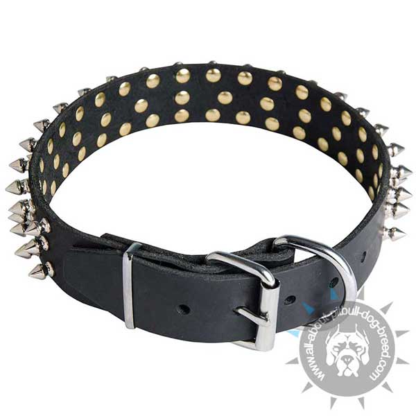 Leather spiked dog collar for Pit Bull